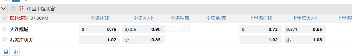 中国甲组联赛  大连鲲城 VS石家庄功夫